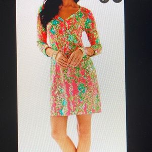 Palmetto t-shirt Dress EUC